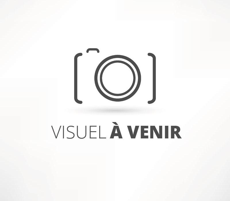 Renforcement de la protection des mineurs victimes d'infractions sexuelles 2/5 (l'inceste)
